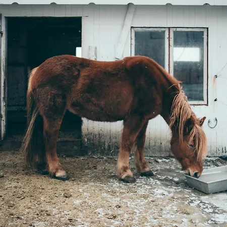 Fab Scenery 度假居 *
